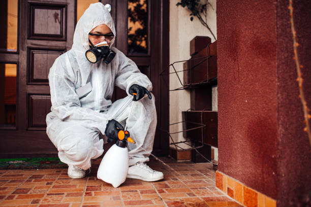 Reliable Cockroach Control contractor in Coulee Dam, WA by Nex Pest Control