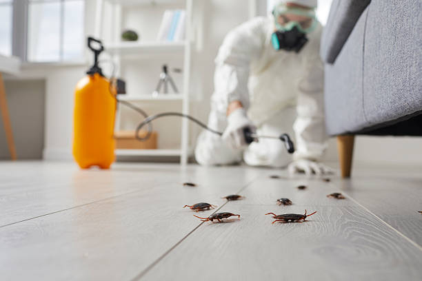 Trusted Mosquito Control service in Coulee Dam, WA - Nex Pest Control
